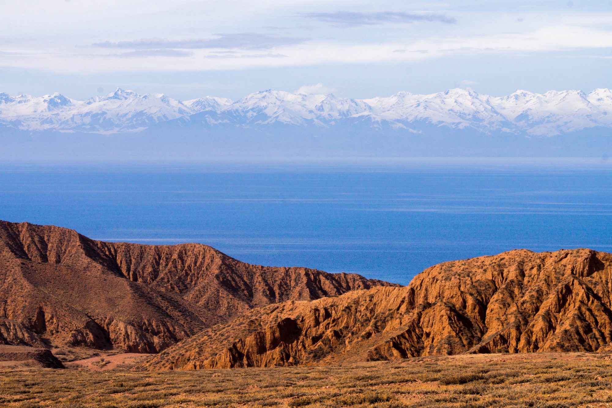 Tort oyoq ustida turgan osiyolik